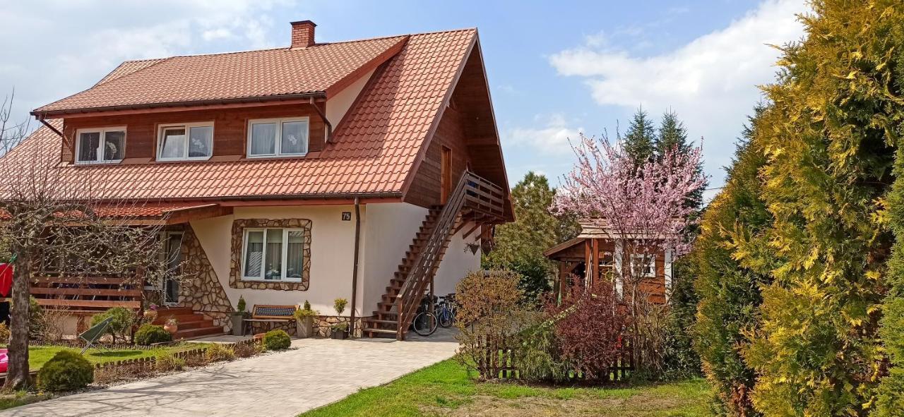 Rodzinny Zakatek "U Gluszkow" Bieszczady Myczkowce Extérieur photo