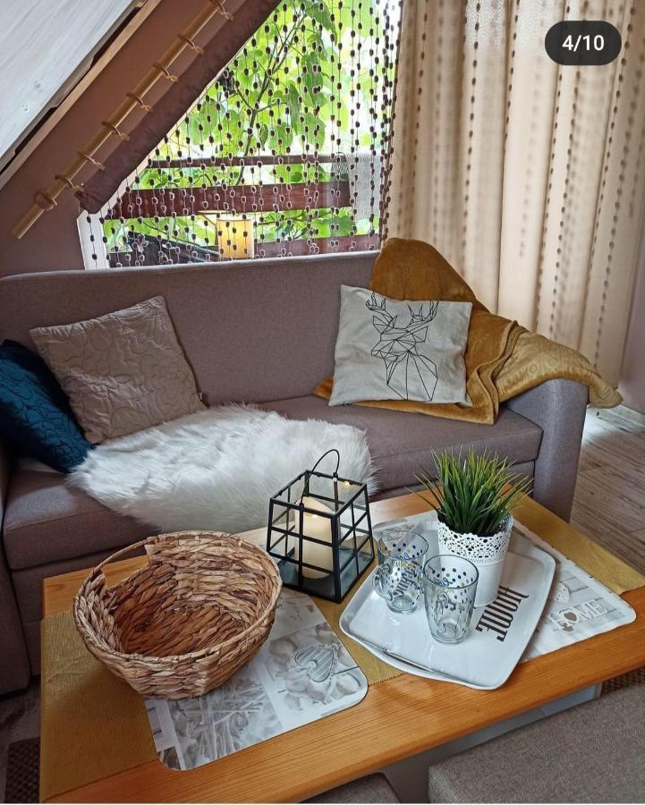 Rodzinny Zakatek "U Gluszkow" Bieszczady Myczkowce Extérieur photo