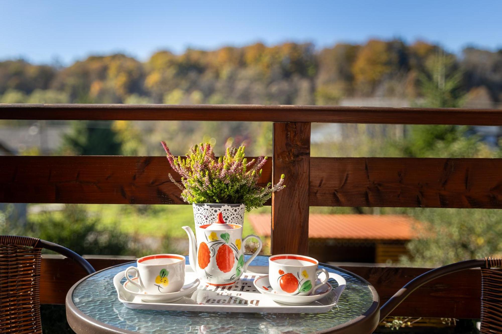 Rodzinny Zakatek "U Gluszkow" Bieszczady Myczkowce Extérieur photo
